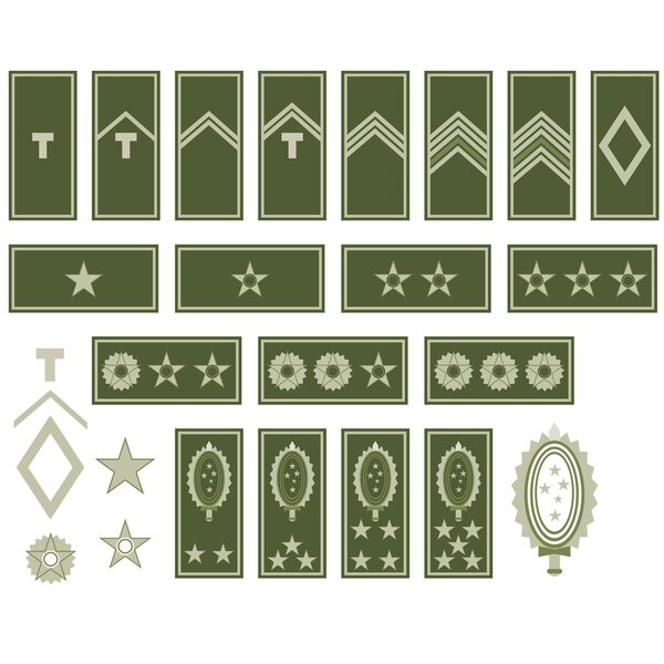 Insignia of the Army of Brazil