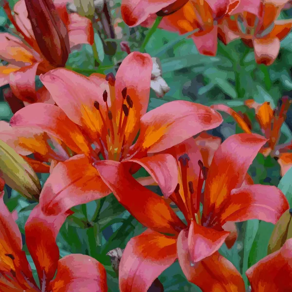 Fiori da giardino — Vettoriale Stock