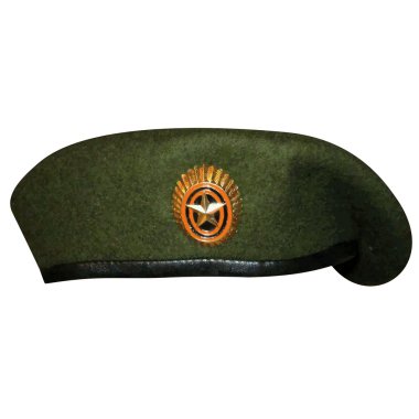Rus Ordusu alır