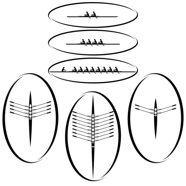 Academische roeien — Stockvector