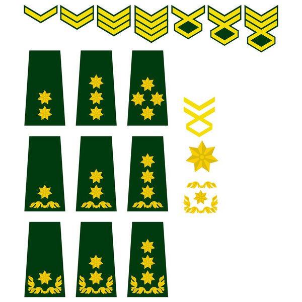 Знаки различия Вооружённых сил Грузии
