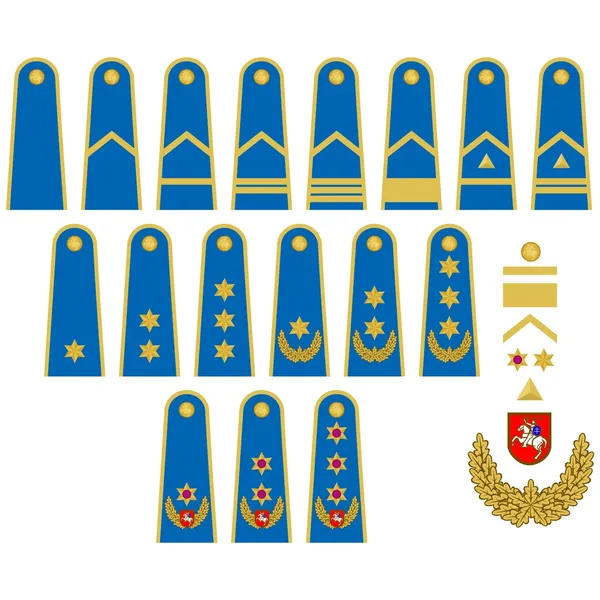 Insignia de la Fuerza Aérea de Lituania — Archivo Imágenes Vectoriales