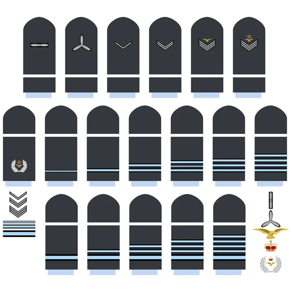 Royal Air Force insignia — Stock Vector