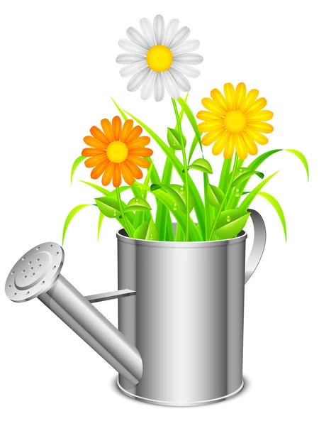 Arrosoir et fleurs . — Image vectorielle
