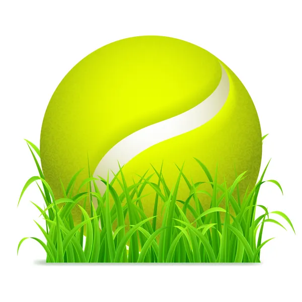 Tennis ball. — Stock Vector