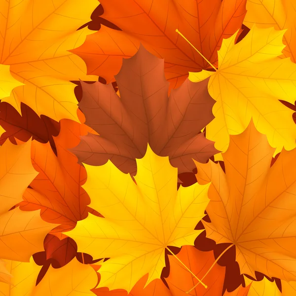 Autumn leaves pattern. — Stock Vector