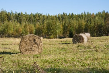 saman yığınları ile peyzaj