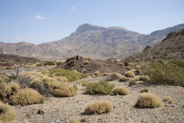 Tenerife volkanik manzara