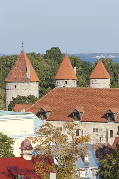 Türme von Tallinn — Stockfoto