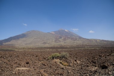 Tenerife volkanik manzara