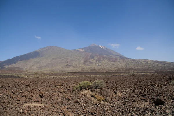 Volcanic landscape on Tenerife — Stock Photo, Image