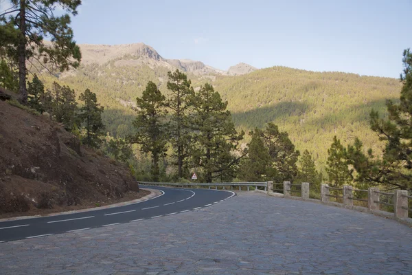 Strada a Tenerife — Foto Stock