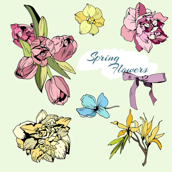 Farbige Reihe von Frühlingsblumen — Stockvektor