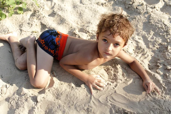 Portrait of happy little boy... — Stock Photo, Image