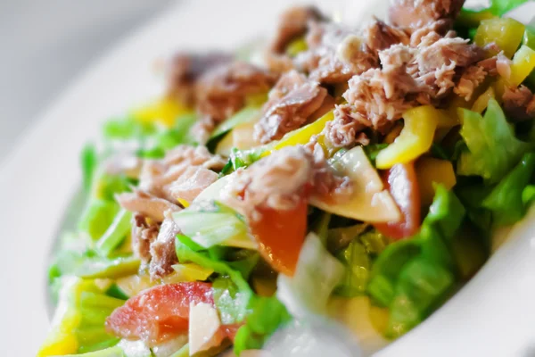 Salat mit Chiken Gemüse... — Stockfoto