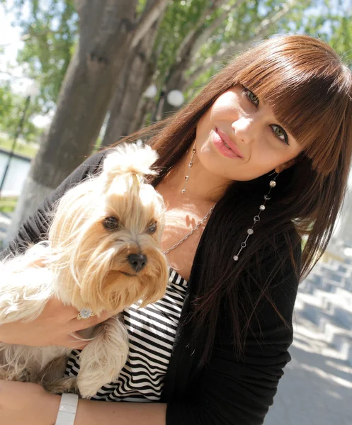 Bela mulher segurando pequeno cão — Fotografia de Stock