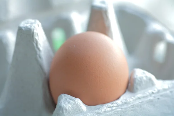 Un œuf brun dans l'emballage gros plan — Photo