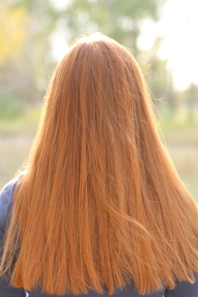 Splendida rossa ragazze indietro . — Foto Stock