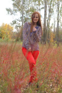 güzel bir sonbahar çayır redhead