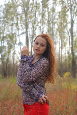 güzel bir sonbahar çayır redhead