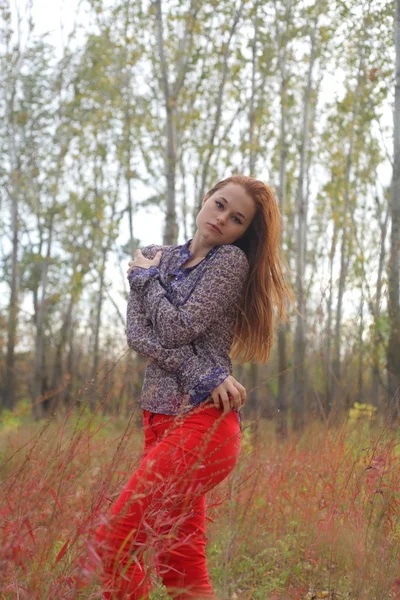 Mujer en hierba de otoño, retrato al aire libre — Foto de Stock