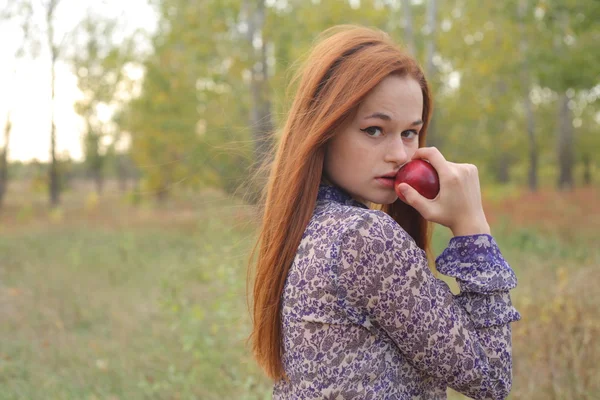 Güzel genç redhead sonbahar çayır — Stok fotoğraf