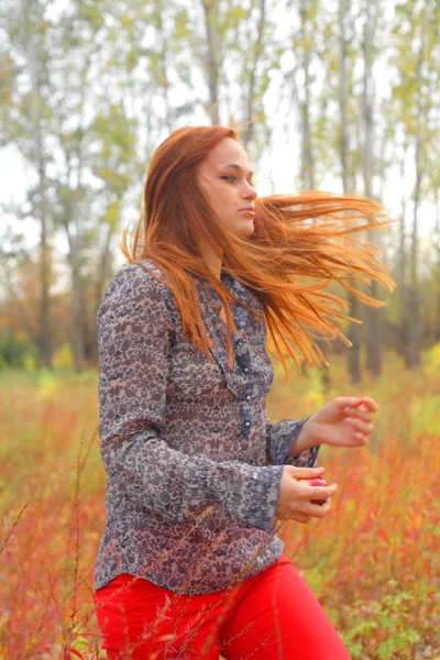 Hermosa pelirroja en un prado de otoño —  Fotos de Stock
