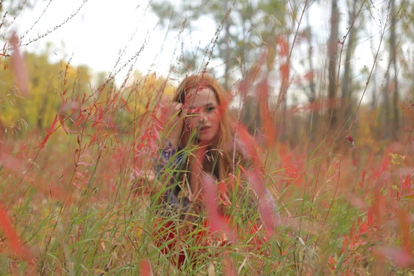 Donna che cammina nel parco autunnale — Foto Stock