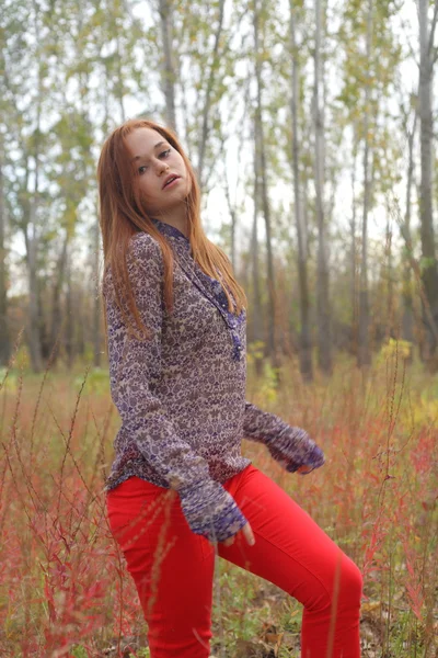 Beautiful woman standing in a park in autumn — Stock Photo, Image