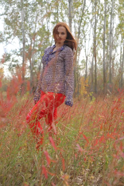 Beautiful redhead in a autumn meadow — Stock Photo, Image