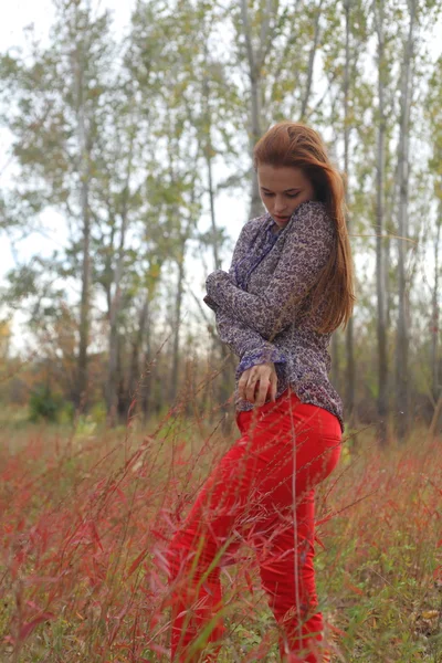 Ruiva bonita em um prado de outono — Fotografia de Stock