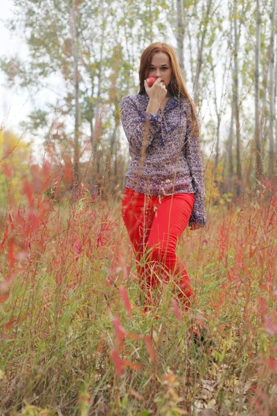 Bella donna in piedi in un parco in autunno — Foto Stock