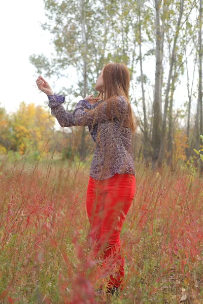 Hermosa pelirroja en un prado de otoño — Foto de Stock
