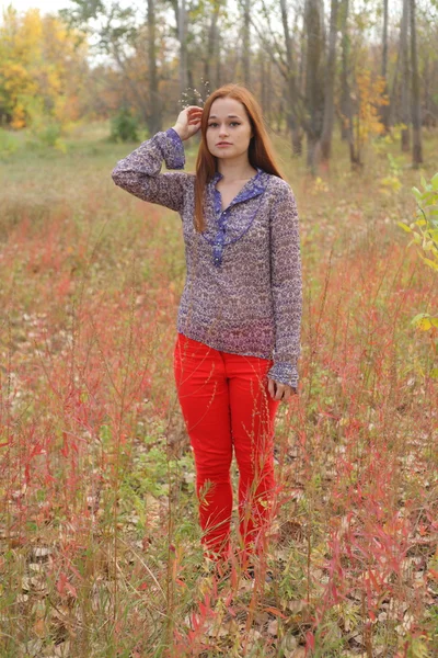 Schöne Frau steht im Herbst in einem Park — Stockfoto