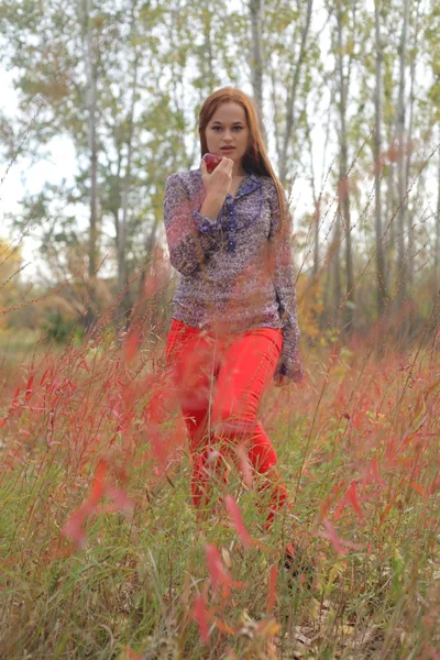 Ruiva bonita em um prado de outono — Fotografia de Stock