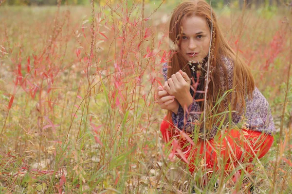 Ruiva bonita em um prado de outono — Fotografia de Stock