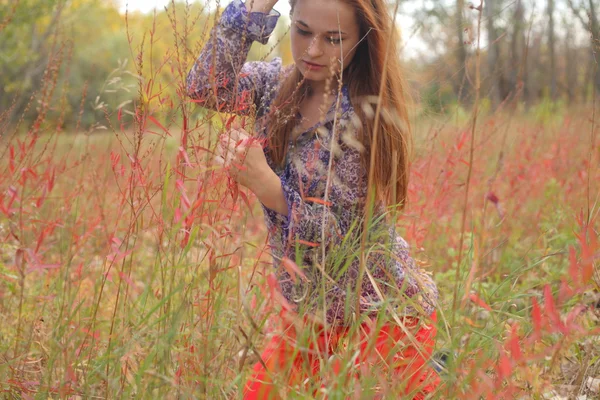 Portréja egy gyönyörű vörös hajú nő ül a fűben — Stock Fotó