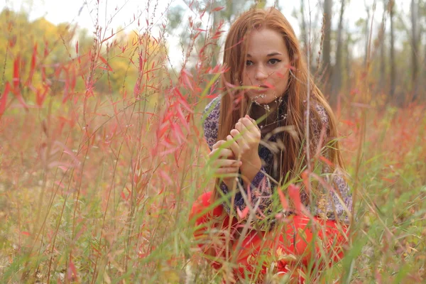 Portrait of a beautiful red-haired woman sitting on the grass — Stock Photo, Image