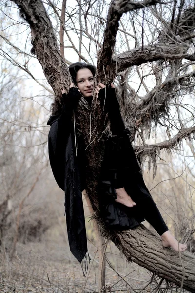 Halloween-Hexe auf dem hohlen Baum wartet — Stockfoto