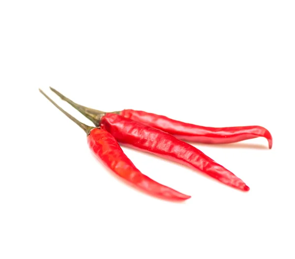 Tree red chilli pepper isolated on the light gray — Stock Photo, Image