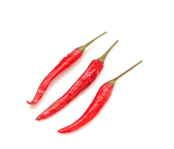 Boom rode chili peper geïsoleerd op het licht grijs — Stockfoto