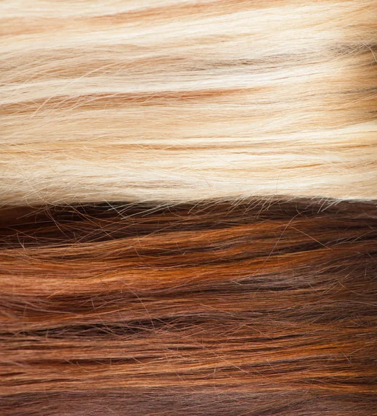 茶色とブロンドの髪の背景 — ストック写真