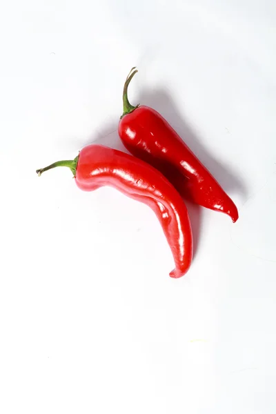 Dos pimientos rojos sobre fondo blanco — Foto de Stock