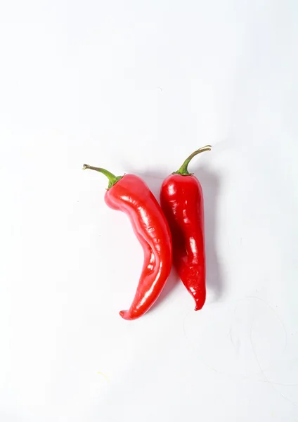Due peperoni rossi su sfondo bianco — Foto Stock