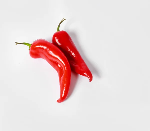 Duas pimentas vermelhas no fundo branco — Fotografia de Stock