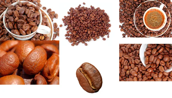 Coffee Cup Beans collage — Stock Photo, Image