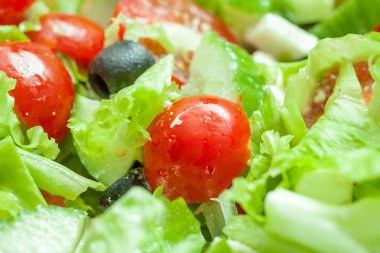 Tabakta taze sebze salatası