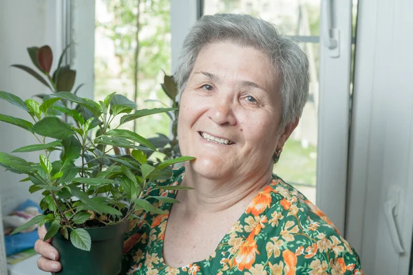 Mogen kvinna ta hand om krukväxter krukväxt — Stockfoto