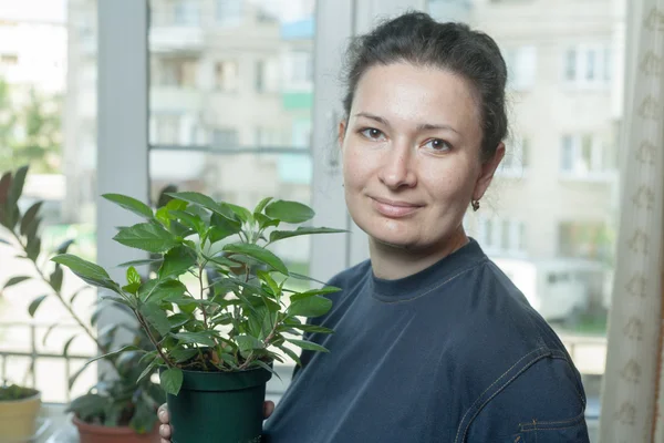 Kvinna med blomkruka inomhus — Stockfoto