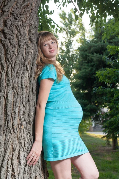 Femme enceinte — Photo